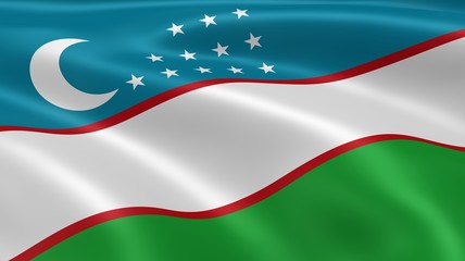 Uzbek flag in the wind