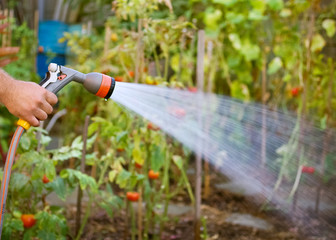 Watering garden equipment