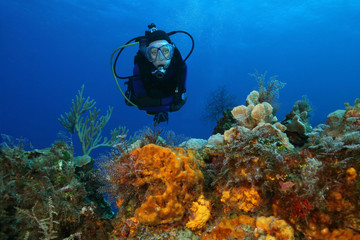 Naklejka na ściany i meble Woman Scuba Diving Over a Coral Reef - Cozumel, Mexico