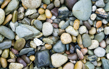Beach Pebbles