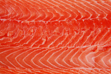piece of big salmon fillet