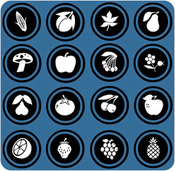 blue  signs. fruits and vegetables set . fruits icons.