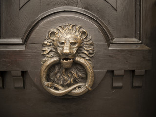 Lion on the door