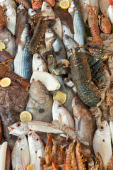 Fresh seafood background