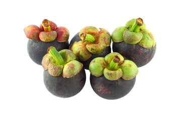 Five mangosteens on white background.