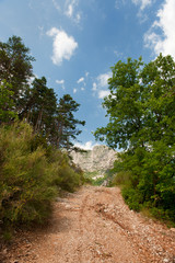 Fototapeta na wymiar Walking path in the Haute Provence
