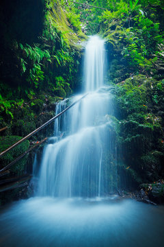 Fototapeta Beautiful Lush Waterfall in Hawaii