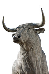 bull