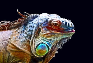 Fractal dragon