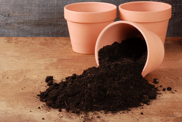 Garden Clay pot with spiiled dirt