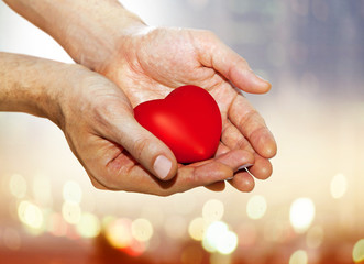 artificial red heart on hands