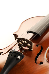 violin
