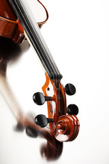 violin