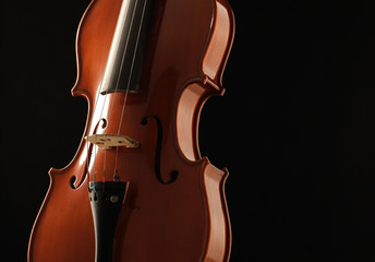 violin