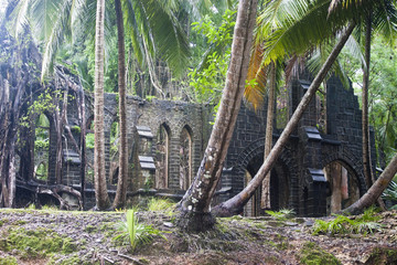 Ruin of abandoned church covered with roots on Ross Island