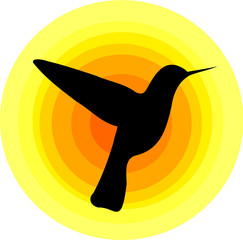 Hummingbird symbol