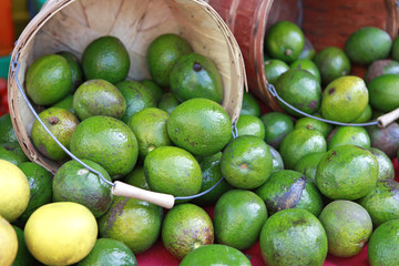 baskets of avocados