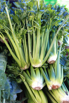 farmers market celery
