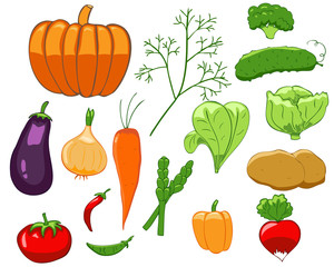 Set of colorful vegetables