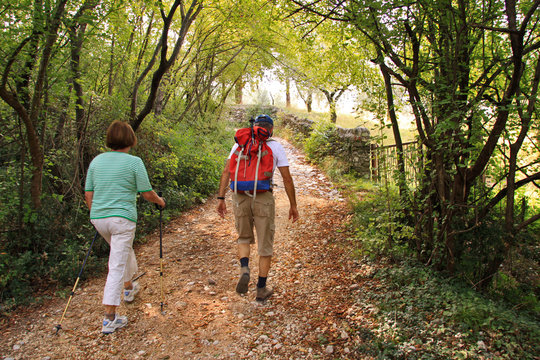 Anziani escursionisti nel bosco