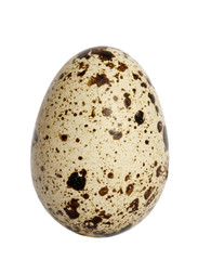 Naklejka na ściany i meble One quail egg. Isolated on white background