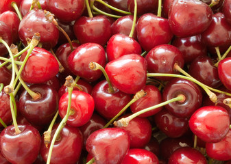 cherry