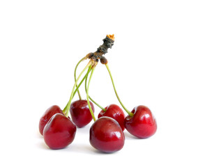 Sweet cherry isolated on white