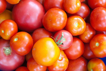 Tomatoes. Different varieties of tomatoes - yellow, red, crimson