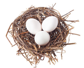 Nest with eggs