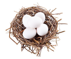 Nest with eggs