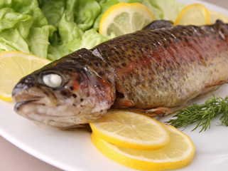 grilled trout