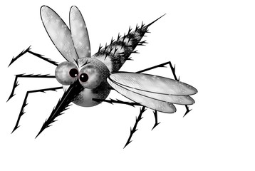 Mosquito in flight