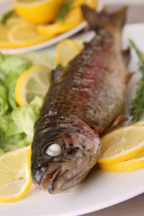 trout