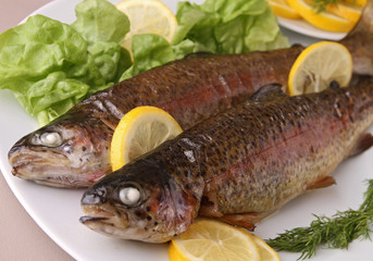 grilled trout