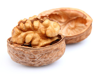 Dried walnut