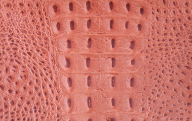 Imitation of crocodile-skin leather texture