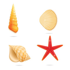 shiny sea sign set on the white