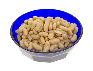 White beans in blue bowl