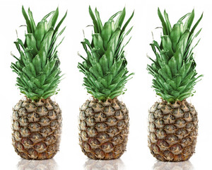 Three Pineapples