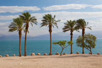 Fototapeta premium Dead Sea in Israel