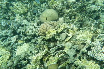 Under Water