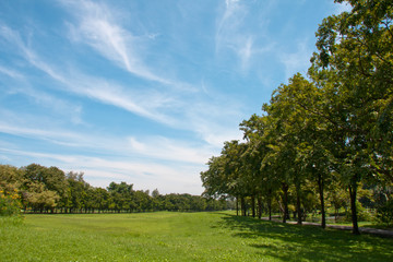 The blue cloud in the garden landscape
