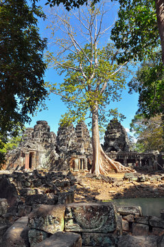 Temple in the jungle