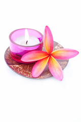 Obraz na płótnie Canvas Tropical Plumeria Frangipani with Aramotherapy candle for spa an