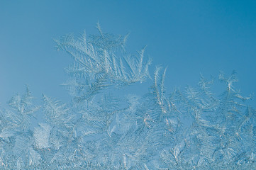 Eisblumen am Fenster 2