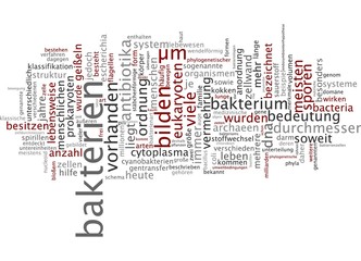 Bakterien