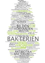 Bakterien