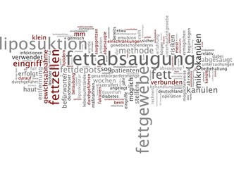 Fettabsaugung