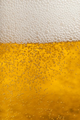Beer closeup
