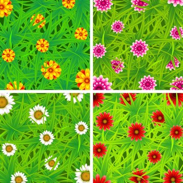 Flower Garden